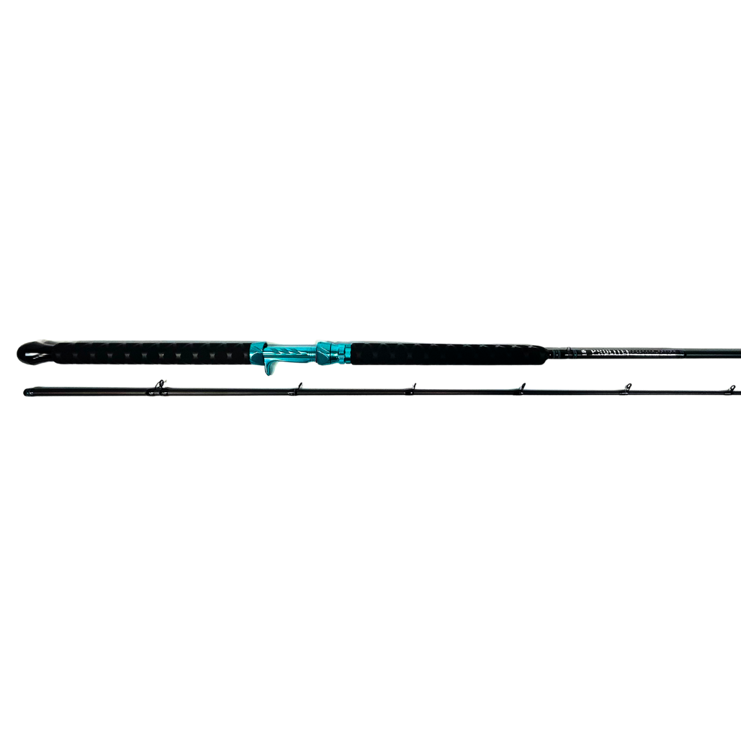Takedown DR Style 10'6” 10-25# Medium Heavy Power- "Tide Runner"