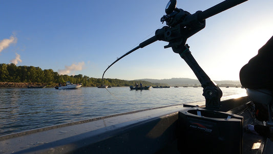 Custom Rod Building Service vs Rod Brands: Why Prolite Is Different