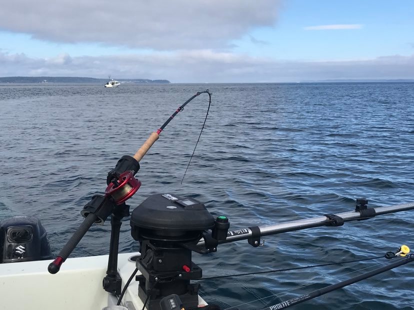 Why Everyone in Puget Sound Is Talking About “Mooching-Style” Downrigger Rods