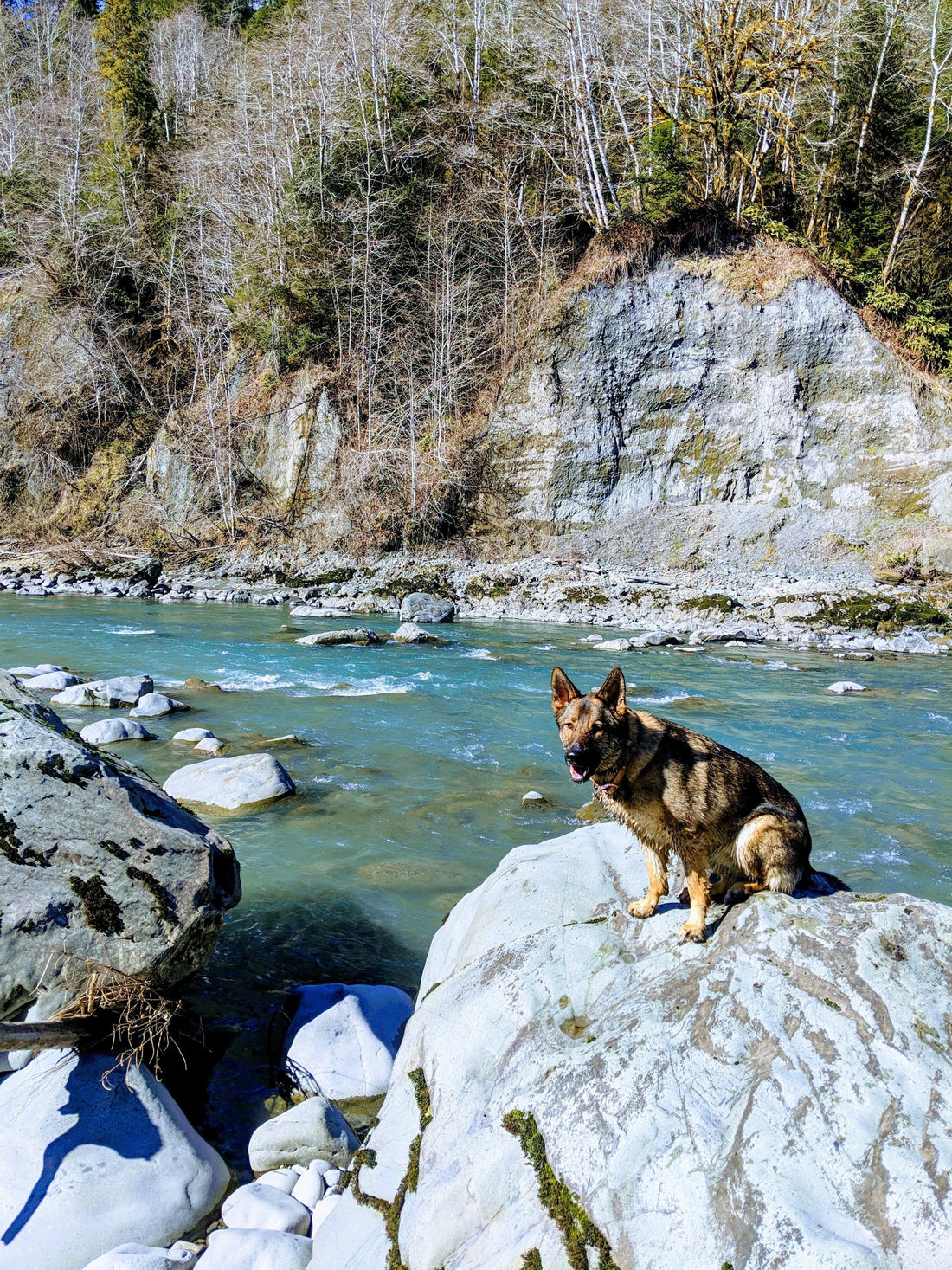 Still Waiting on the Queets River: Wild Steelhead, Conservation, and Why Access Matters