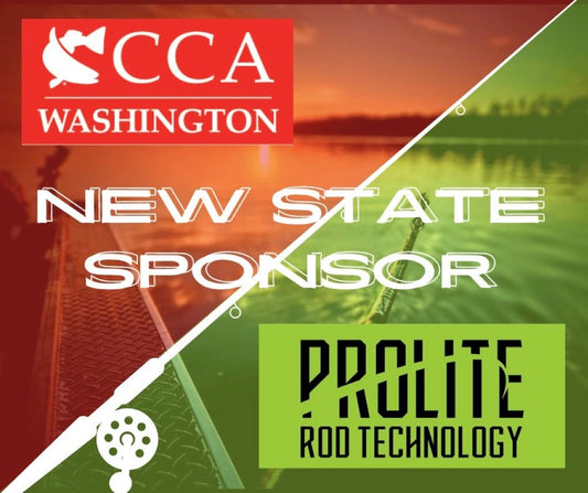 CCA Washington New State Sponsor