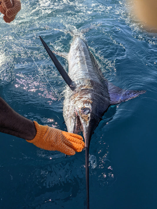 Travel Fishing Rods: Choosing the Right Blank and Building It Your Way