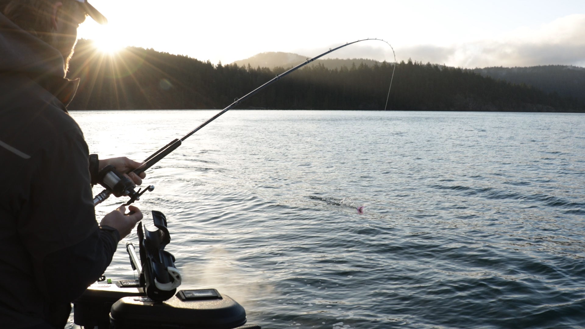 Downrigger Rods