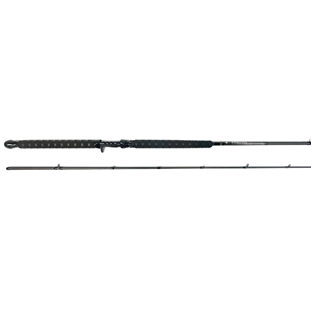 Salmon Downrigger/Trolling