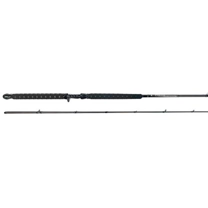 Salmon Downrigger/Trolling