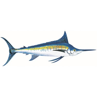 DCL114 - Decal Blue Marlin .84" x 2.25" (C416)