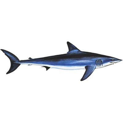 DCL160