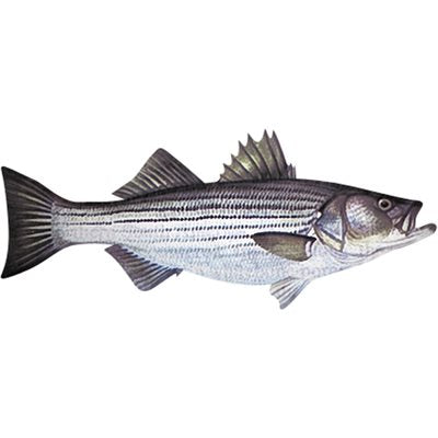 DCL188 - Decal Striped Bass .78" x 1.88" (C404)